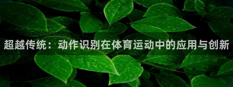 谈球吧体育官网