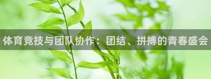 谈球吧：体育竞技与团队协作：团结、拼搏的青春盛会