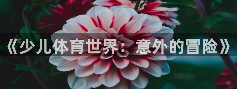 谈球吧体育官网